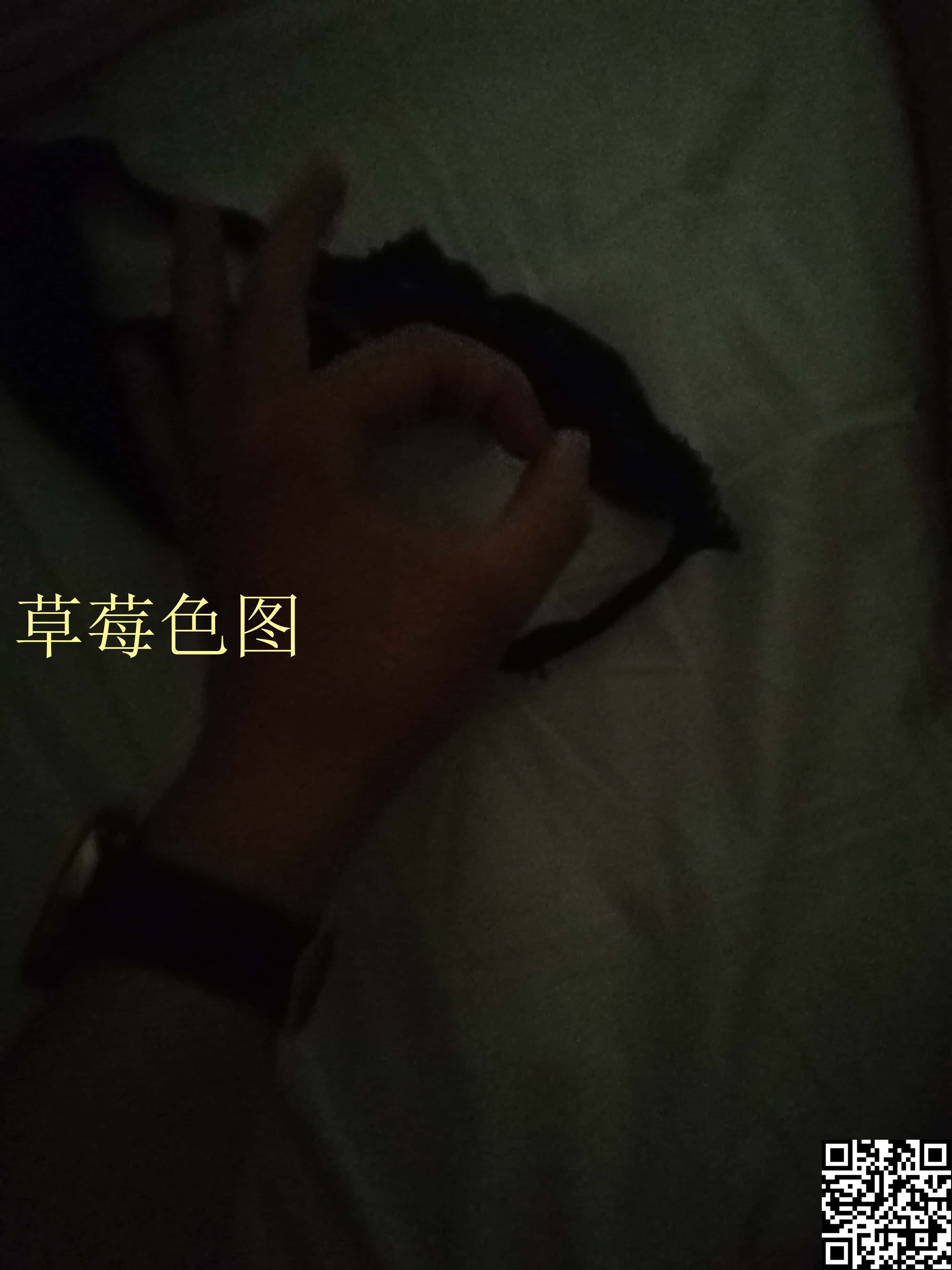 极品听话的母狗少妇[42P]