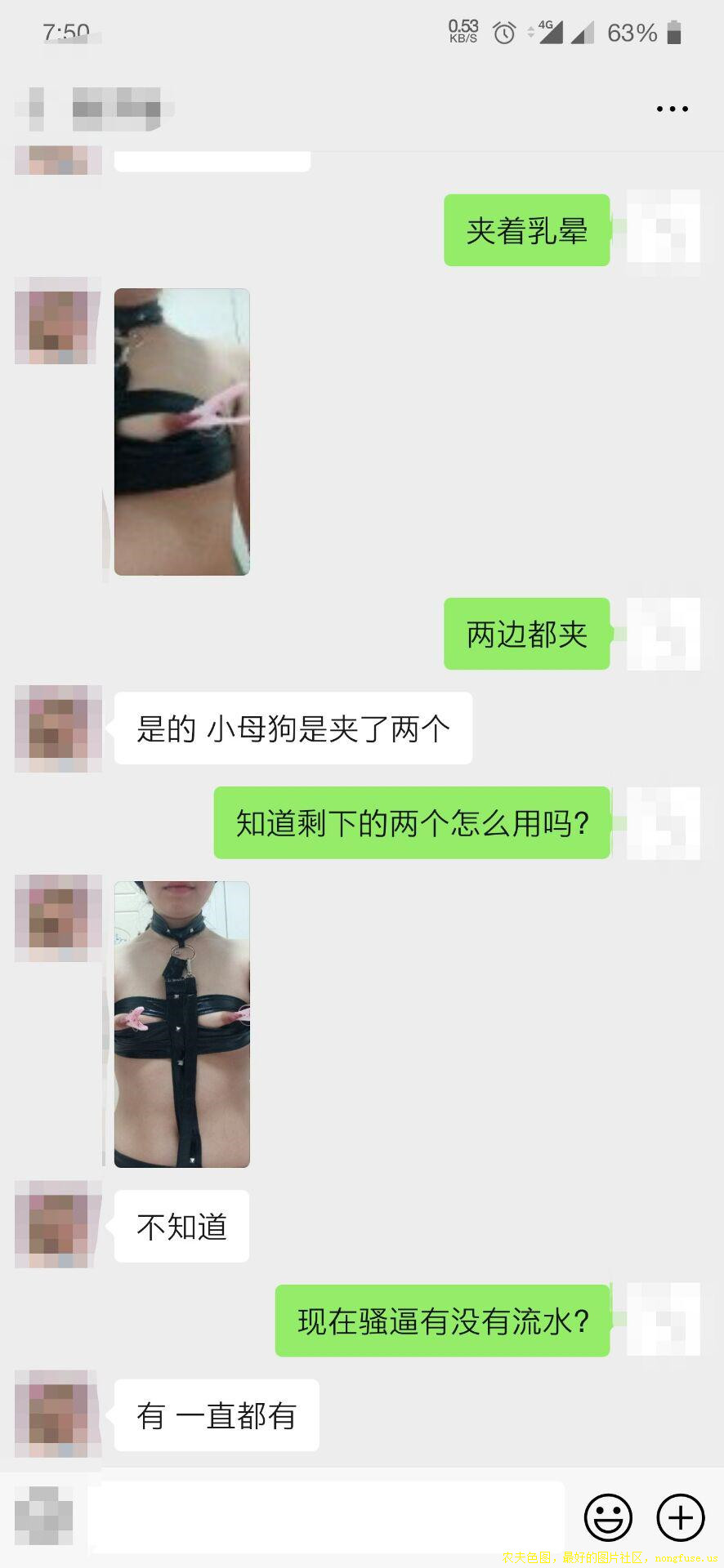 网络调教淫荡小母狗［22P］